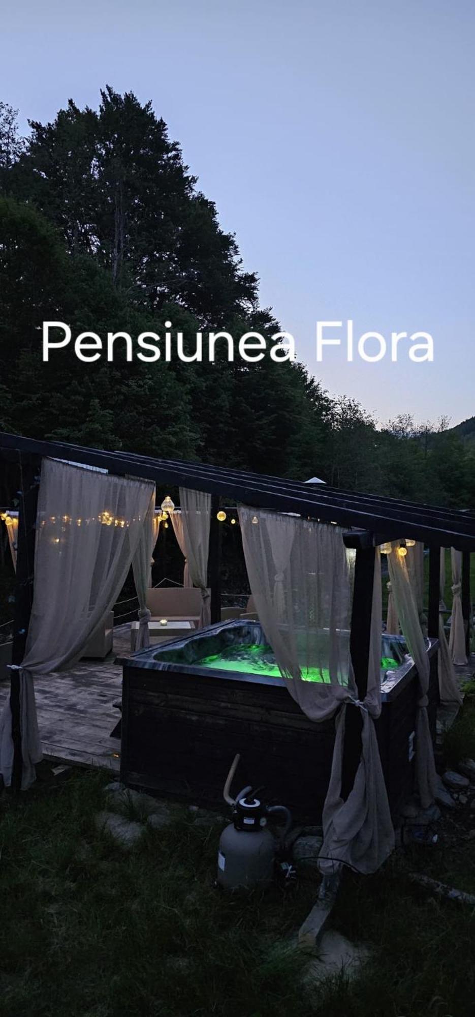 Pensiunea Flora Cîrţişoara Екстериор снимка